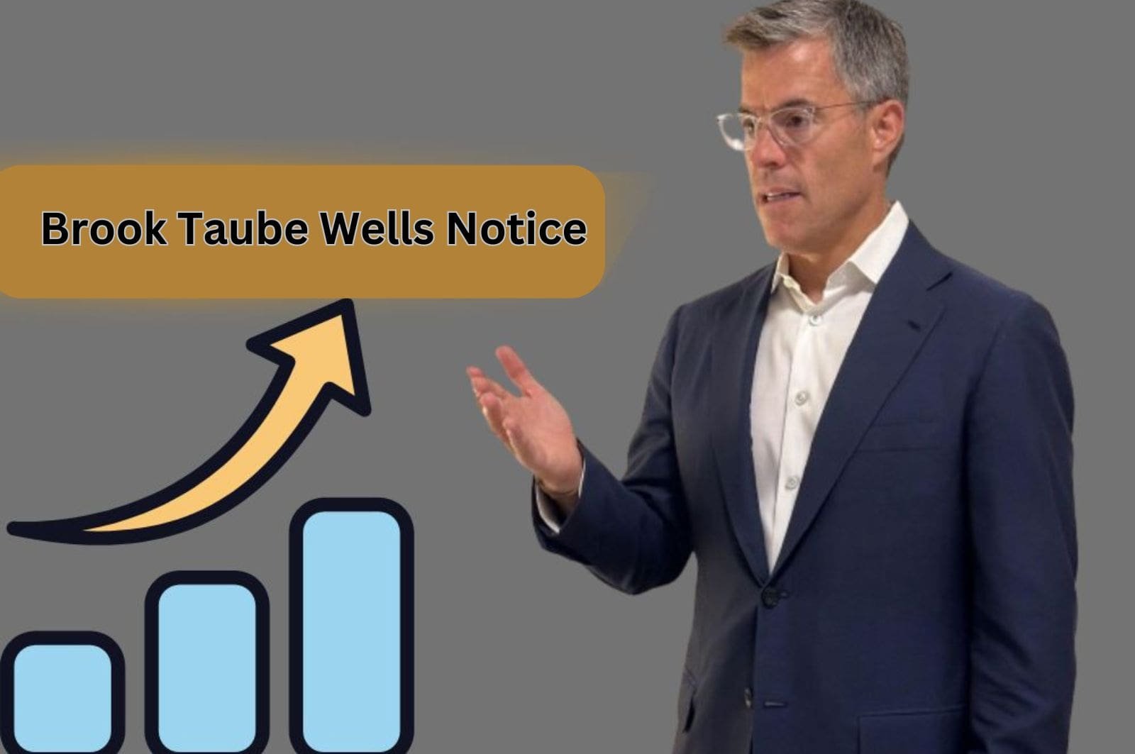 Brook Taube: Wells Notice and Legal Implications