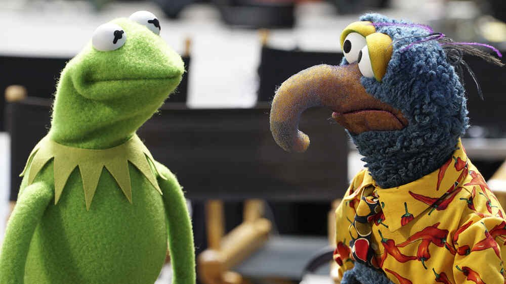 Unraveling the Mystery of the Muppet with the Long Hooked Beak