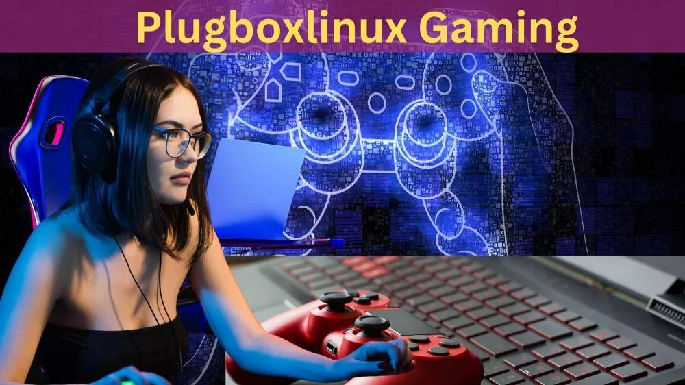 How to Contact PlugBoxLinux: A Comprehensive Guide